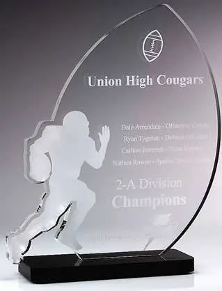 Customize Ad-211 Clear Laser Engraved Acrylic Hot Press Trophy Plaque