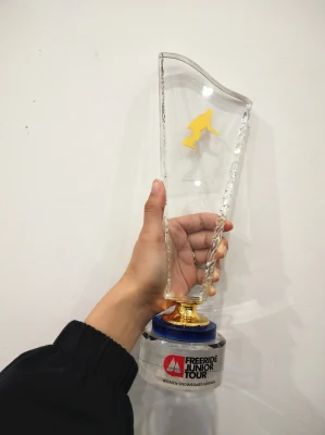 Decorazione sportiva in metallo Premi per i campioni del mondo Coppa del trofeo d'oro Vetro Plastica Vuota Trofeo per il premio del torneo primaverile invernale di Miami (005)
